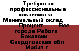 Требуются профессиональные альпинисты. › Минимальный оклад ­ 90 000 › Процент ­ 20 - Все города Работа » Вакансии   . Свердловская обл.,Ирбит г.